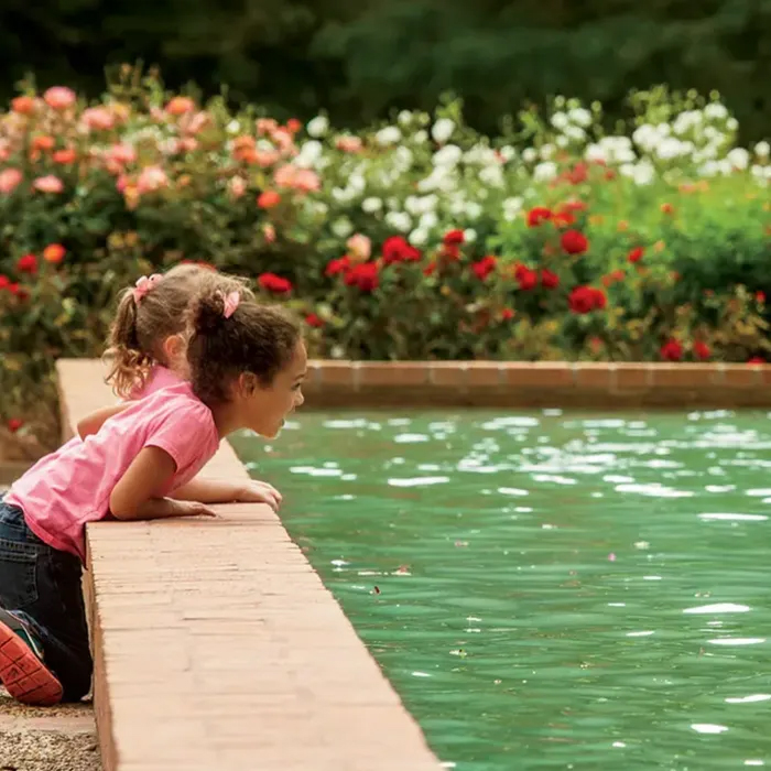 Children looking into a formal pond.